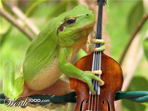 Photoshop Design by serresnoe