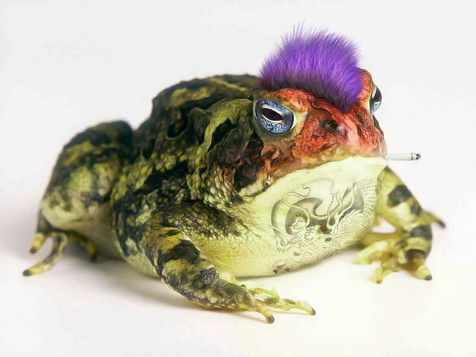 Photoshop Design by watschi for DesignCrowd (Community Contests) | Design #8936402