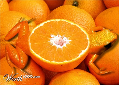 Photoshop Design by Robbyfromitaly