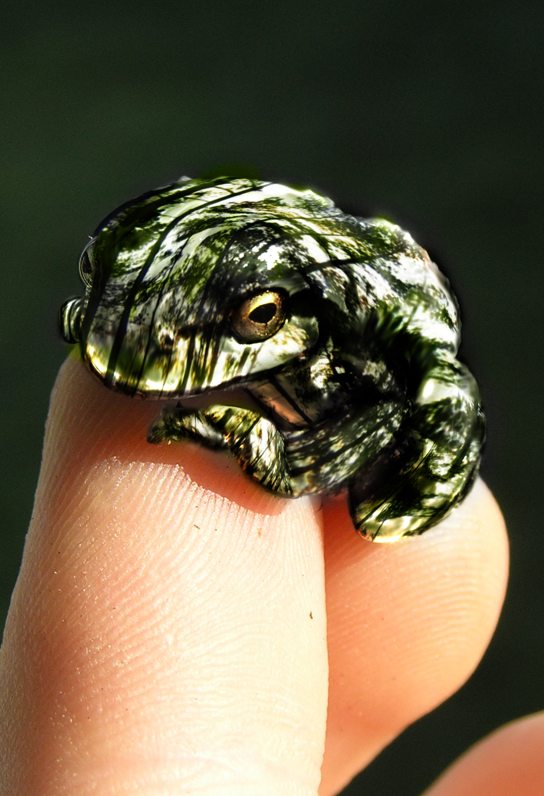 Photoshop-Design von ethanlol für DesignCrowd (Community Contests) | Design #8936360