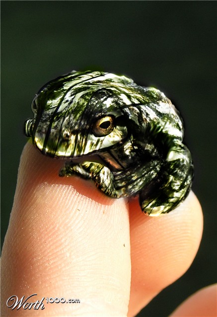 Photoshop Design by ethanlol