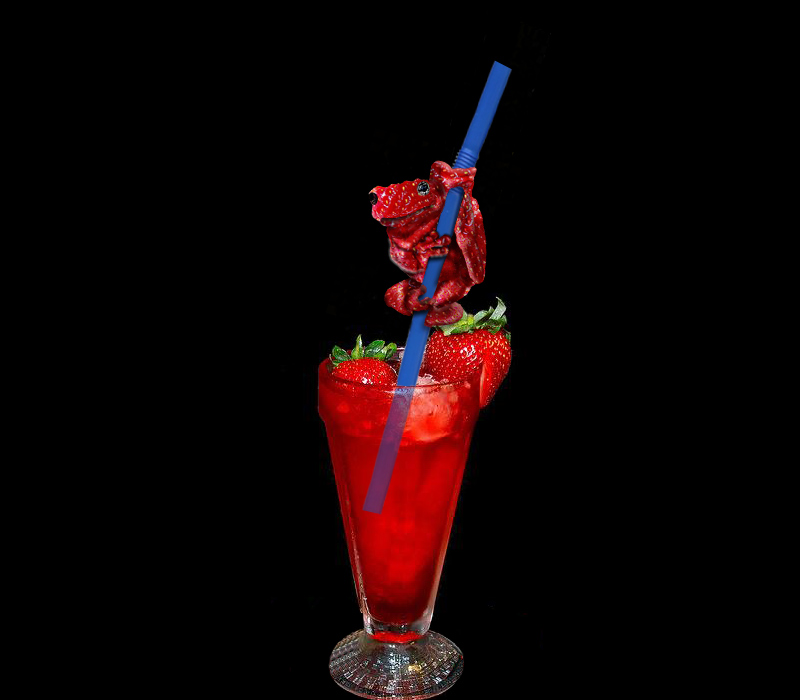 Photoshop-Design von suguna für DesignCrowd (Community Contests) | Design #8936348