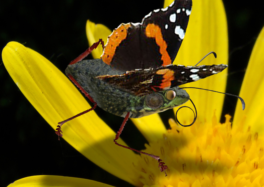 Photoshop Design by janefrog for DesignCrowd (Community Contests) | Design #8936370