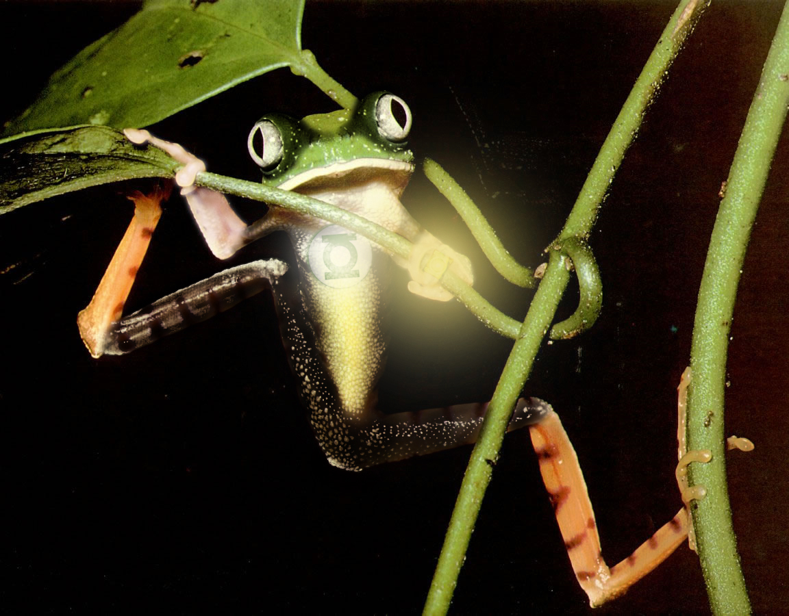 Diseño de Photoshop por douglaseralldo para DesignCrowd (Community Contests) | Diseño #8936383