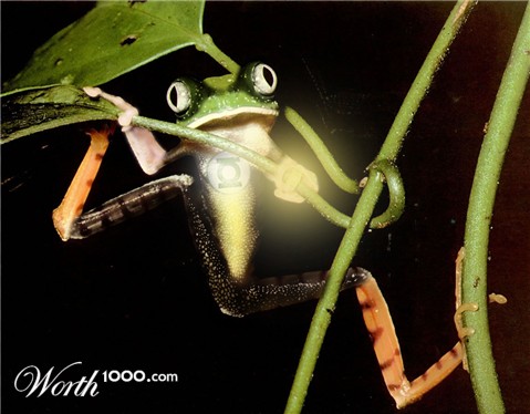 Photoshop Design by douglaseralldo