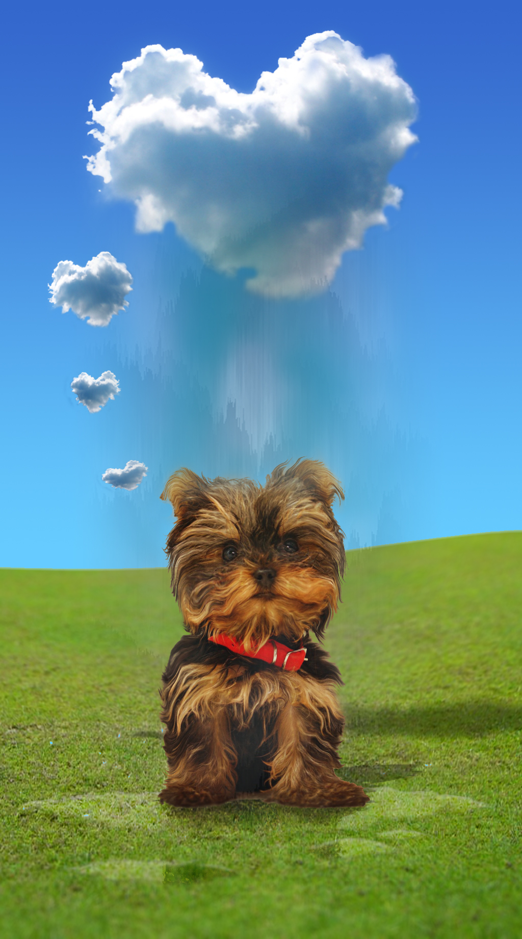 Photoshop Design by Djelibaybi for DesignCrowd (Community Contests) | Design #8935873