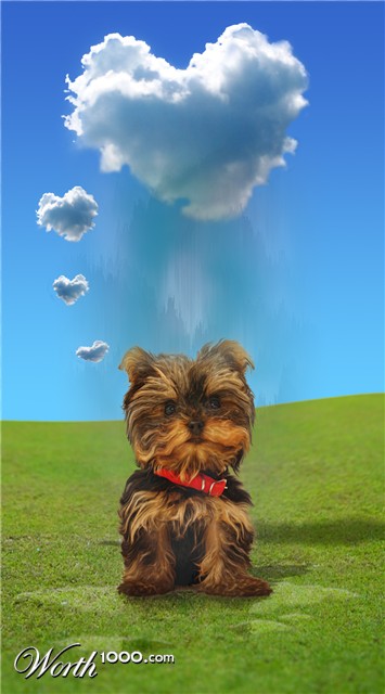 Photoshop Design by Djelibaybi