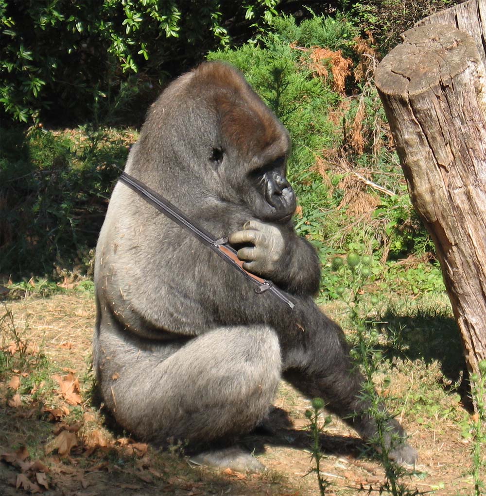 Photoshop Design by hermessz for DesignCrowd (Community Contests) | Design #8939131