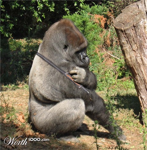 Photoshop Design by hermessz