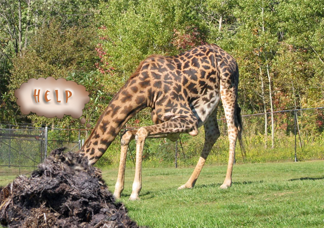 Photoshop Design by frank1956 for DesignCrowd (Community Contests) | Design #8935909