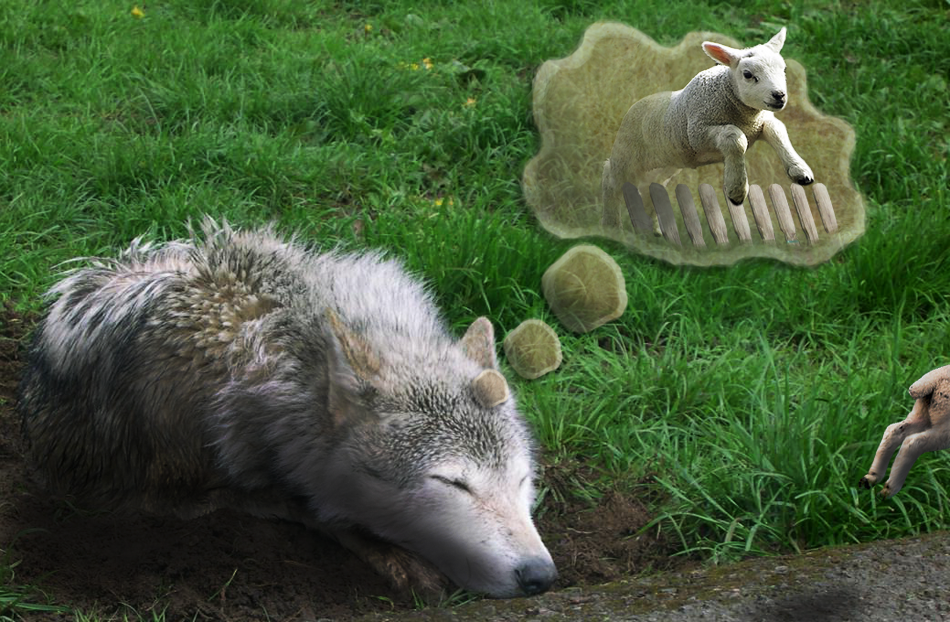 Photoshop Design by Zakfuego for DesignCrowd (Community Contests) | Design #8935914