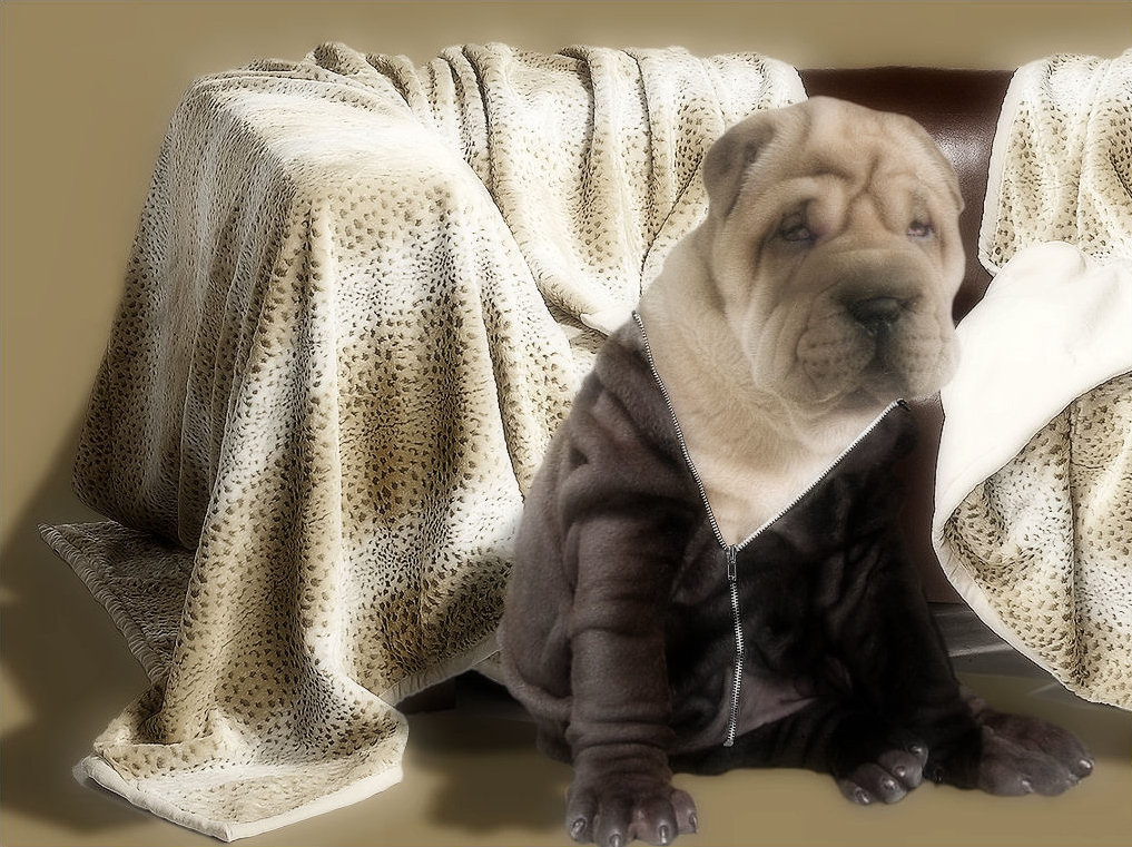 Photoshop Design by Manatee for DesignCrowd (Community Contests) | Design #8939183