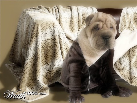 Photoshop Design by Manatee