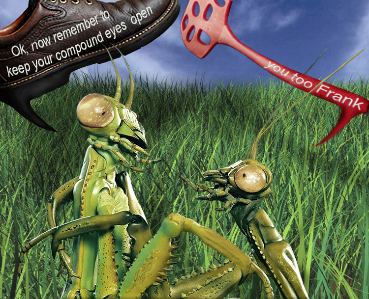 Design Photoshop par aards2 pour DesignCrowd (Community Contests) | Design #8935987