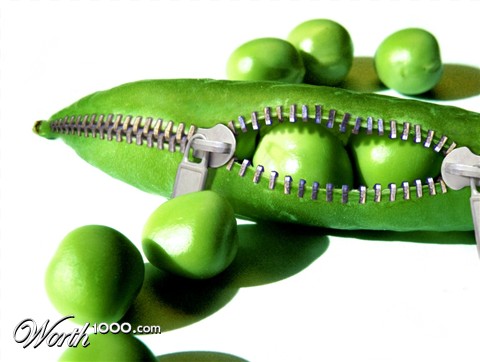 Photoshop Design by Fraxav