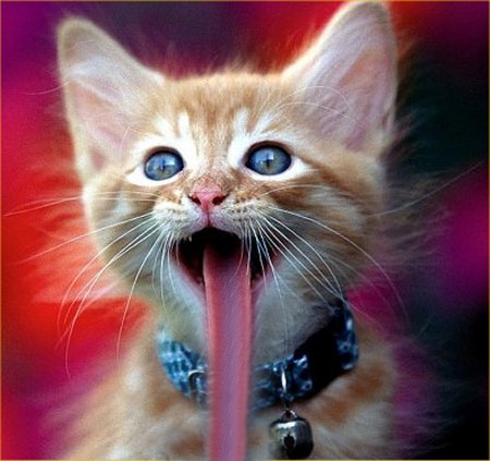 Diseño de Photoshop por swichone para DesignCrowd (Community Contests) | Diseño #8935877