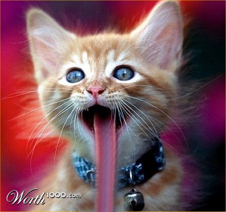 Photoshop Design by swichone