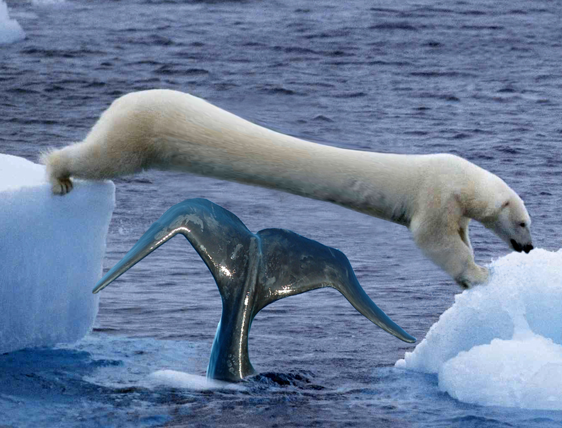 Diseño de Photoshop por bibile para DesignCrowd (Community Contests) | Diseño #8935906