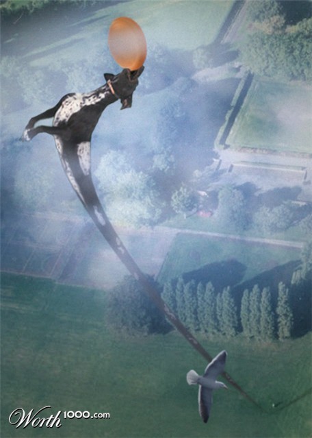 Photoshop Design by timboyle