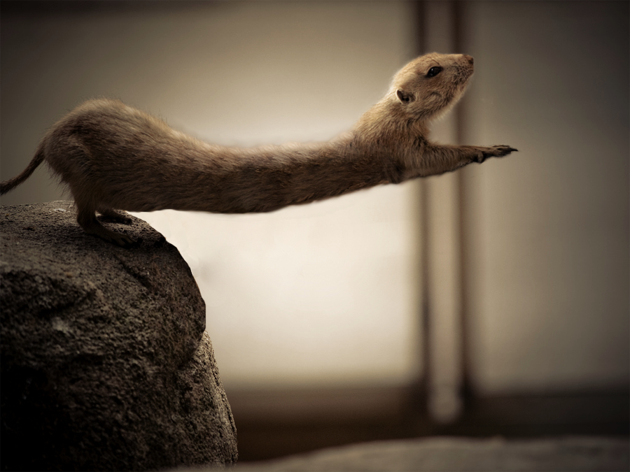 Photoshop Design by Zakfuego for DesignCrowd (Community Contests) | Design #8935816