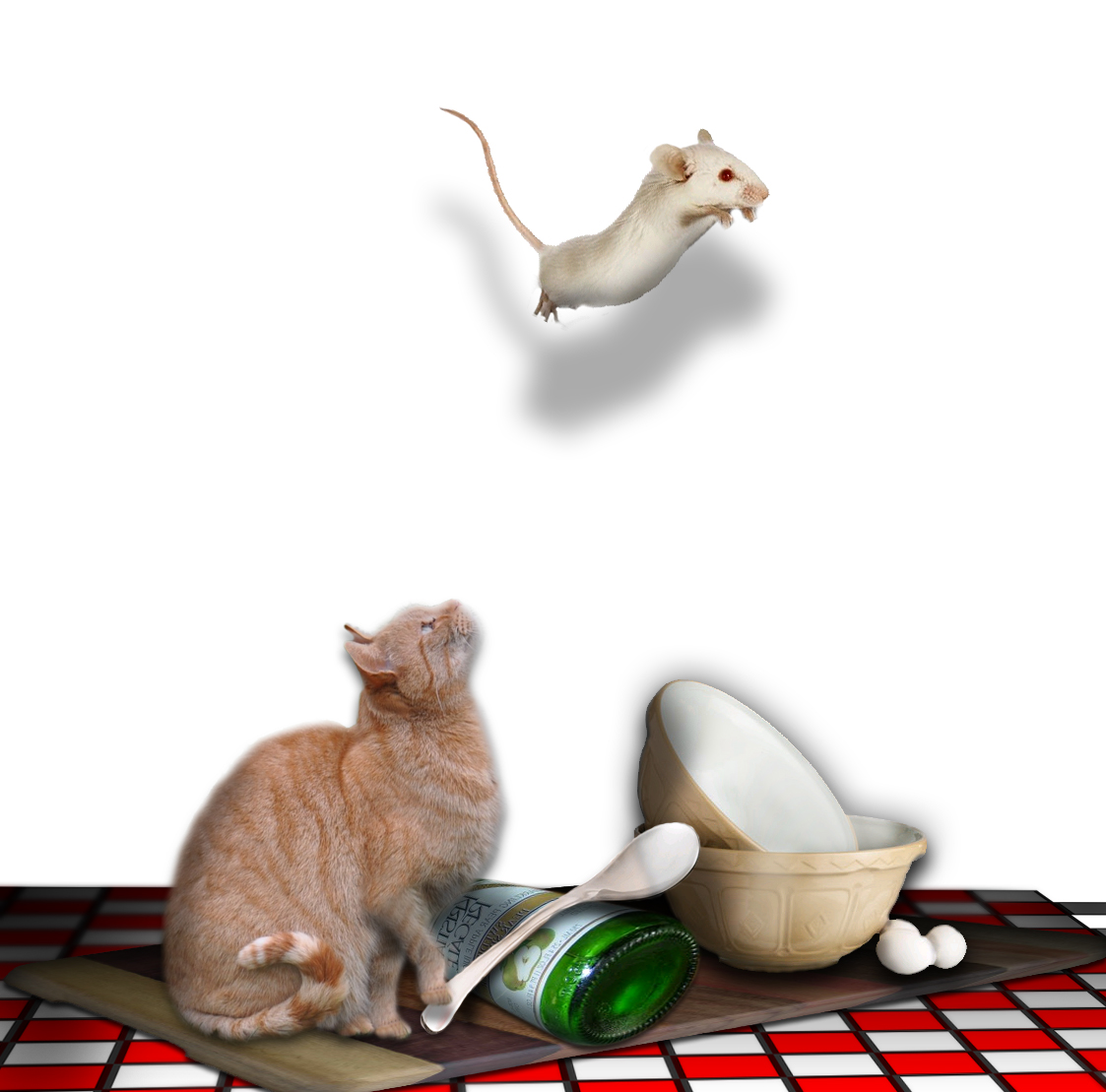 Photoshop Design by YazzyJ for DesignCrowd (Community Contests) | Design #8935717