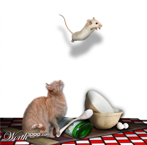 Photoshop Design by YazzyJ