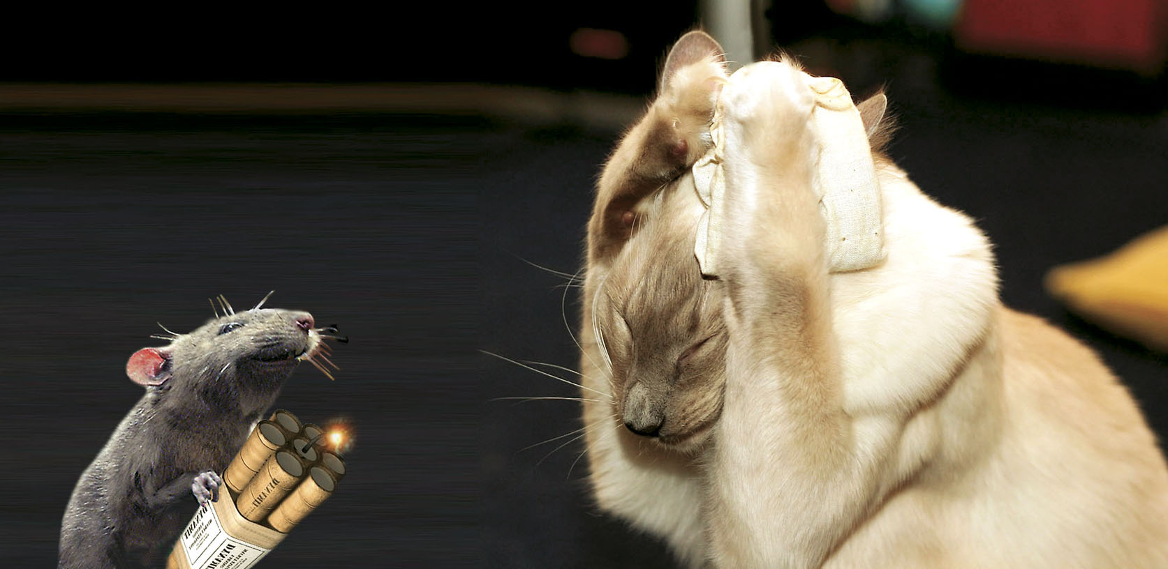 Photoshop Design by pendi29 for DesignCrowd (Community Contests) | Design #8935713