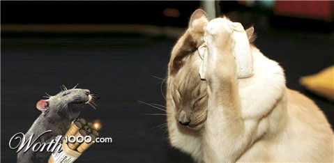 Photoshop Design by pendi29