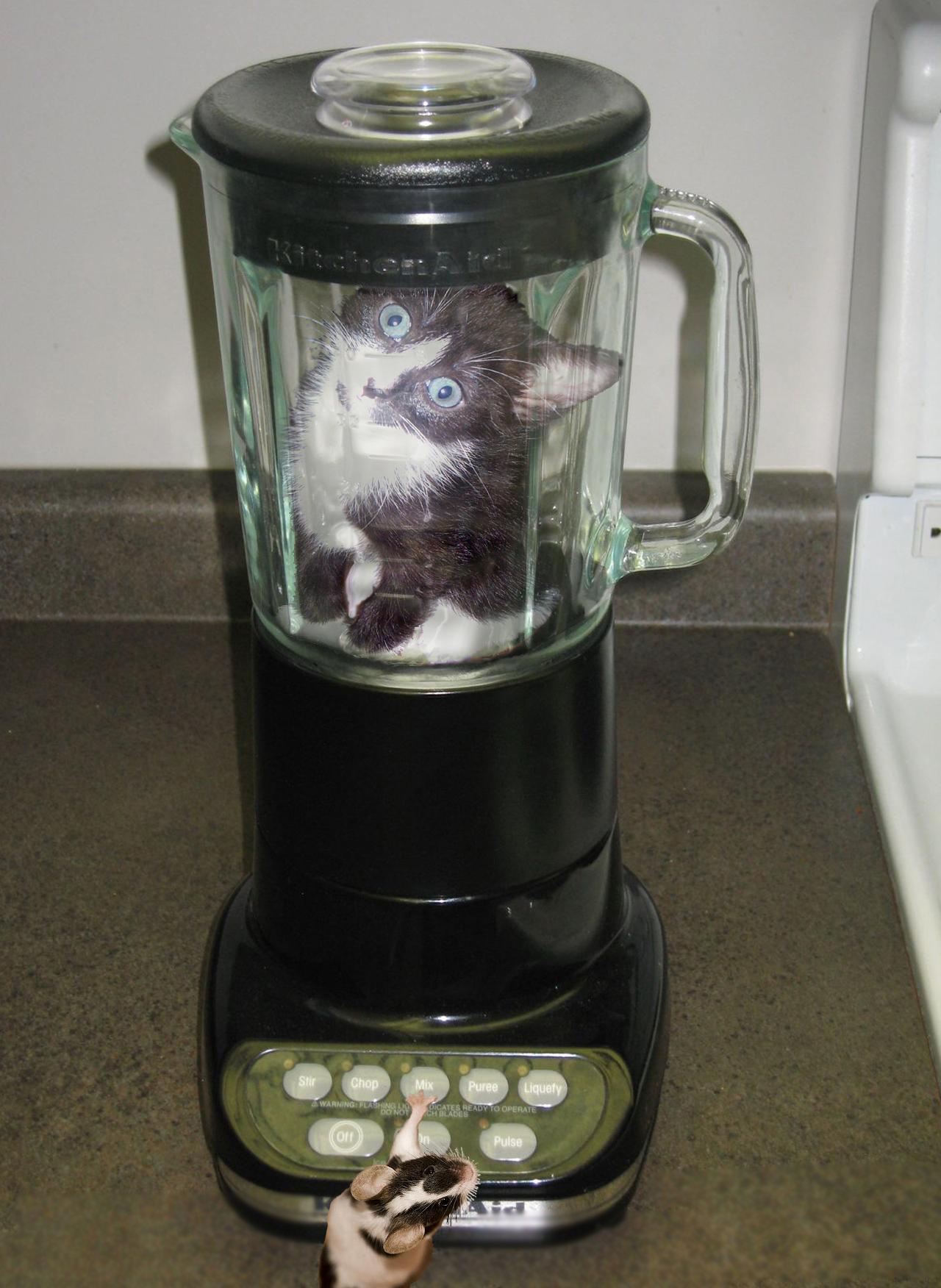 Photoshop Design by 010fred010 for DesignCrowd (Community Contests) | Design #8935738