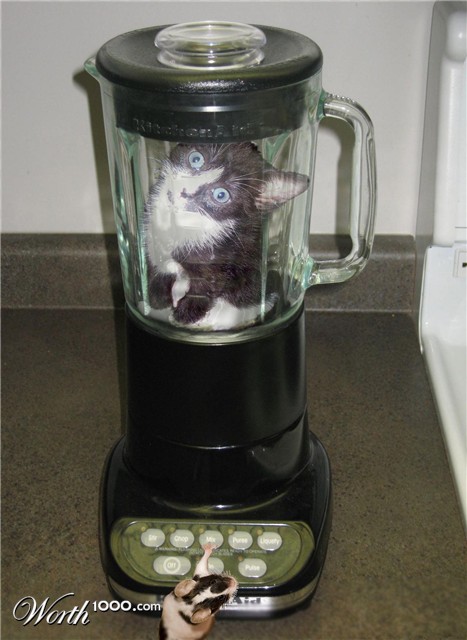 Photoshop Design by 010fred010