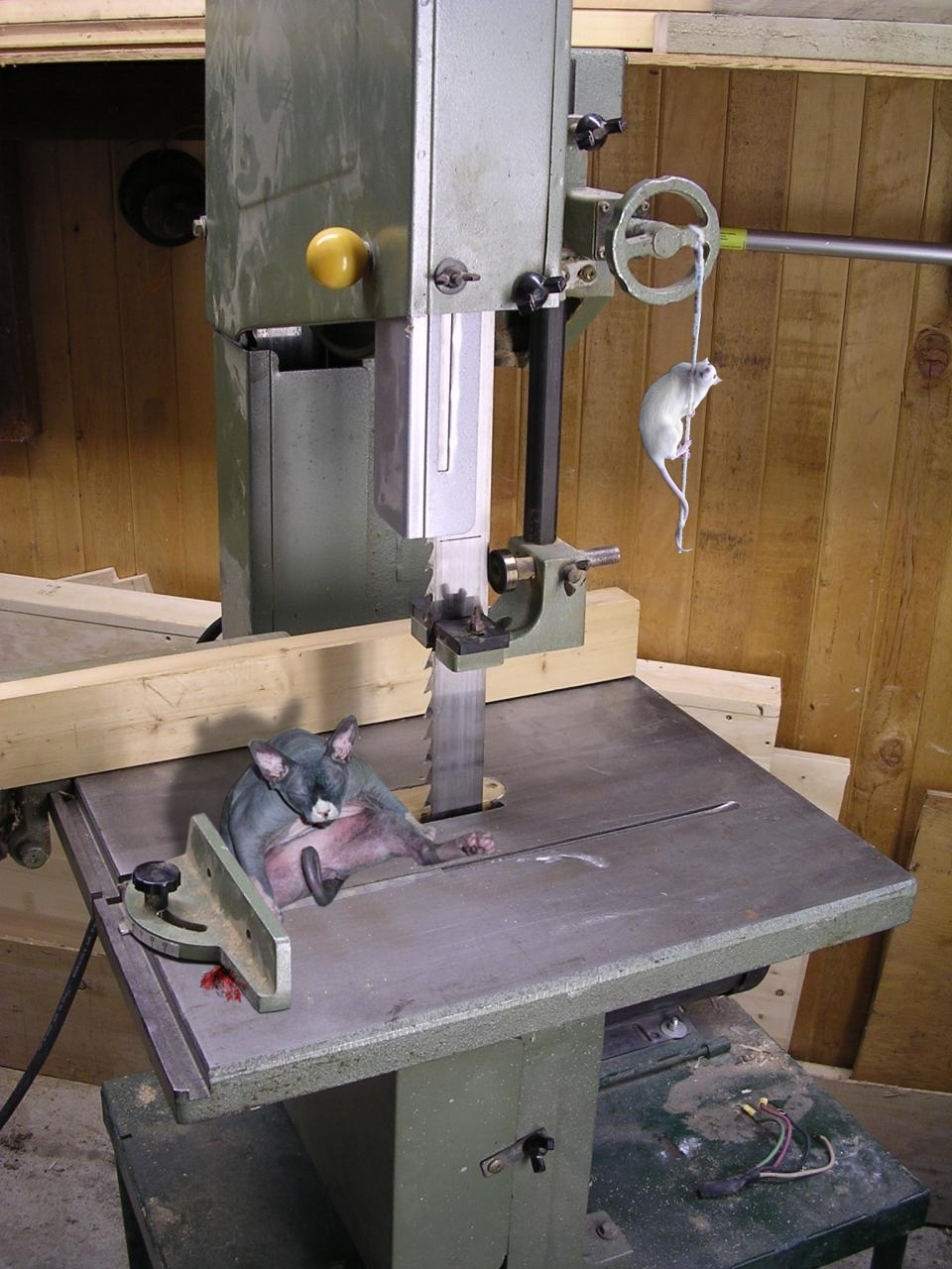 Photoshop Design by fredzcee for DesignCrowd (Community Contests) | Design #8935758