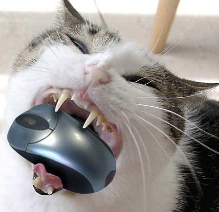 Photoshop Design by vaughn91 for DesignCrowd (Community Contests) | Design #8935797