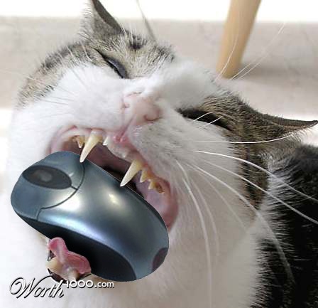 Photoshop Design by vaughn91