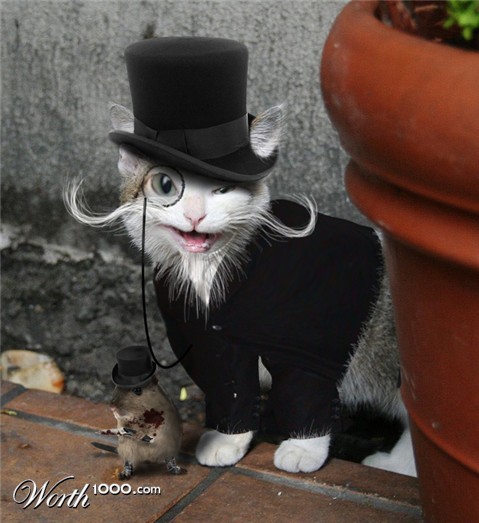 Photoshop Design by DerekBurns