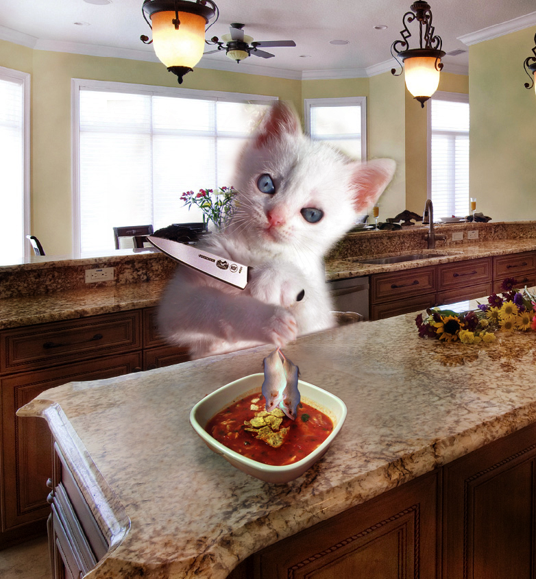 Diseño de Photoshop por douglaseralldo para DesignCrowd (Community Contests) | Diseño #8935792