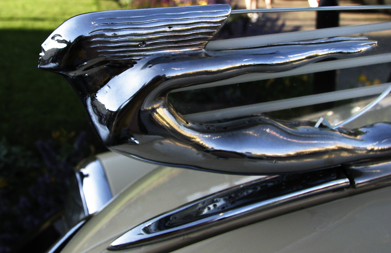 Photography by lizelight71 for DesignCrowd (Community Contests) | Design #8935572