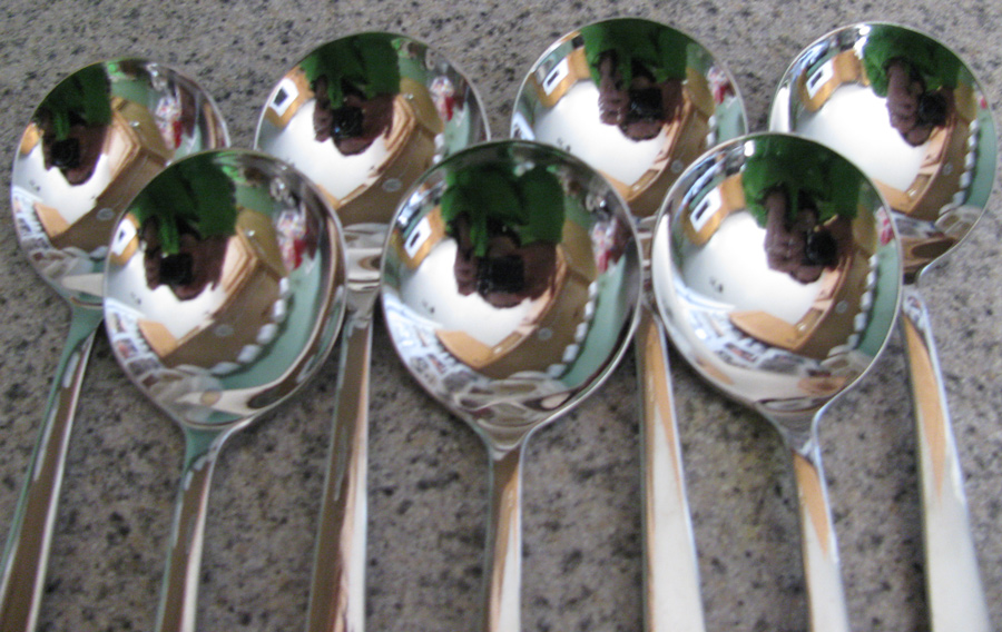 Photography by RosalieLillian for DesignCrowd (Community Contests) | Design #8935586