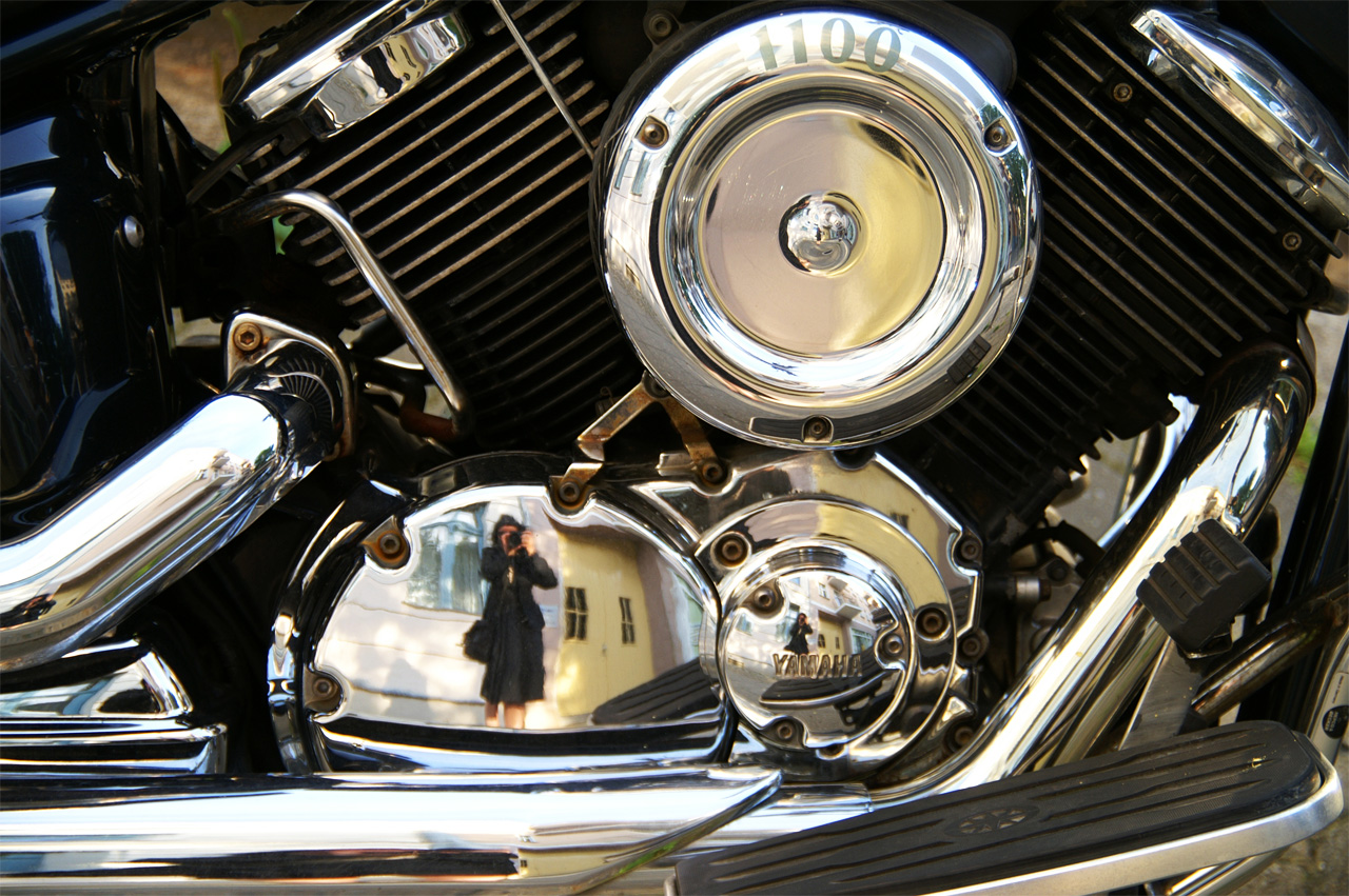 Photography by lunaryuna for DesignCrowd (Community Contests) | Design #8935608