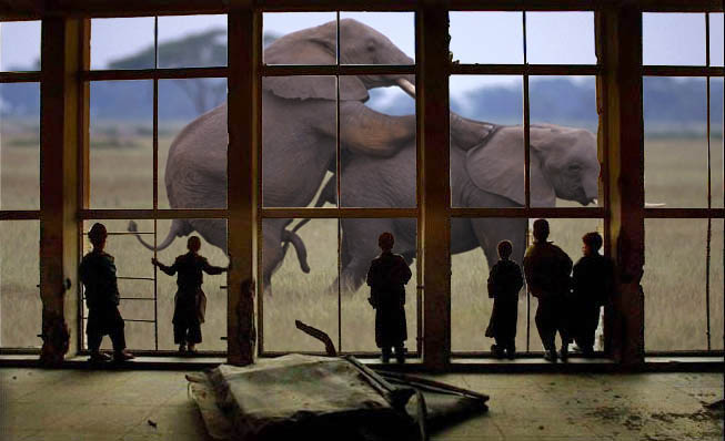 Diseño de Photoshop por fj para DesignCrowd (Community Contests) | Diseño #9164185