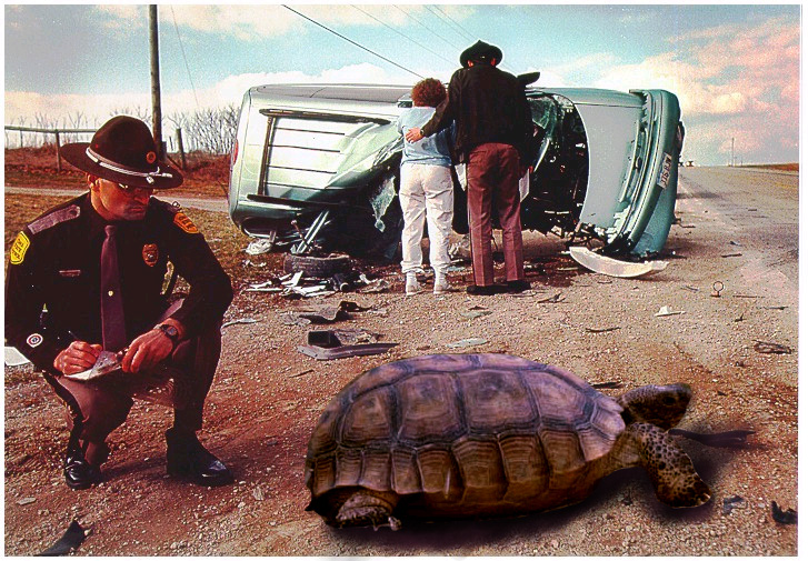 Photoshop-Design von ty2k für DesignCrowd (Community Contests) | Design #9164403