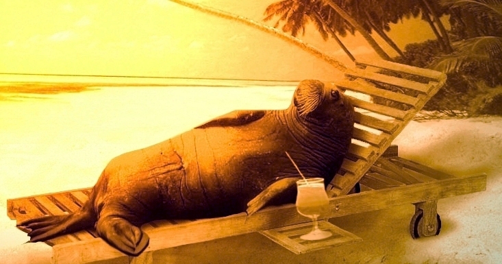 Photoshop Design by mark24 for DesignCrowd (Community Contests) | Design #9164133