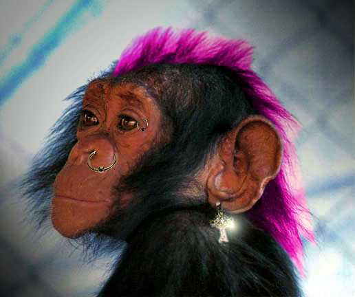 Photoshop-Design von Rocko für DesignCrowd (Community Contests) | Design #9164141