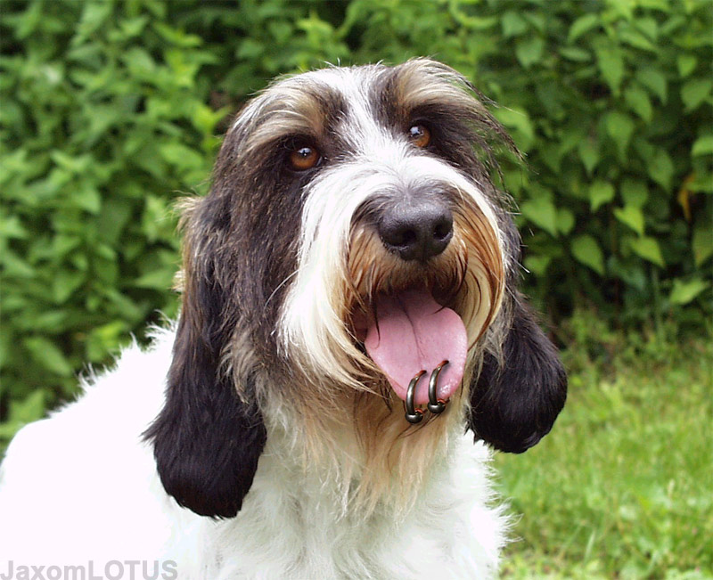 Photoshop Design by JaxomLOTUS for DesignCrowd (Community Contests) | Design #9164167