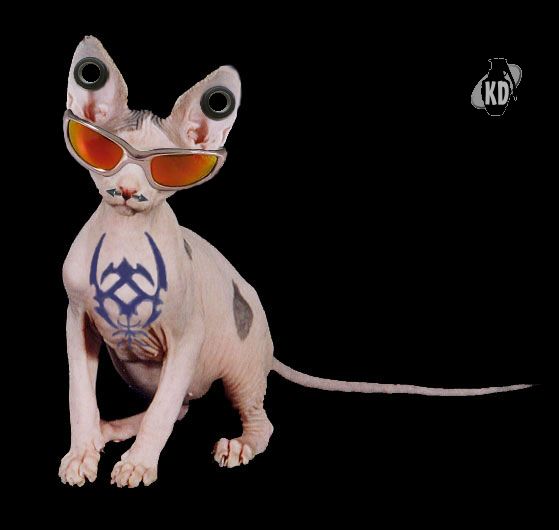 Photoshop Design by Kloakin__Device for DesignCrowd (Community Contests) | Design #9164195