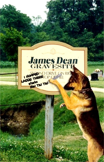 Photoshop Design by aarkieboy for DesignCrowd (Community Contests) | Design #9164221