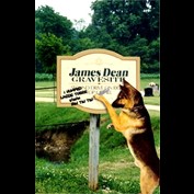 Photoshop Design by aarkieboy