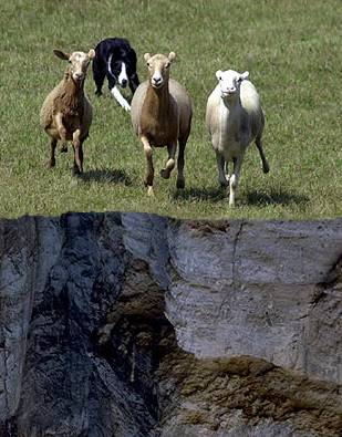 Photoshop Design by alonzo for DesignCrowd (Community Contests) | Design #9164295