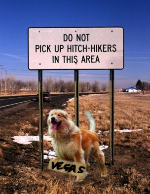 Photoshop-Design von E_Twig für DesignCrowd (Community Contests) | Design #9164291