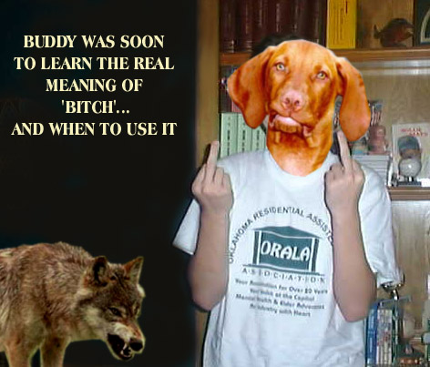 Photoshop Design by Old__Grendel for DesignCrowd (Community Contests) | Design #9164305