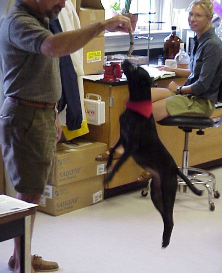 Design Photoshop par alienmagic pour DesignCrowd (Community Contests) | Design #9162757